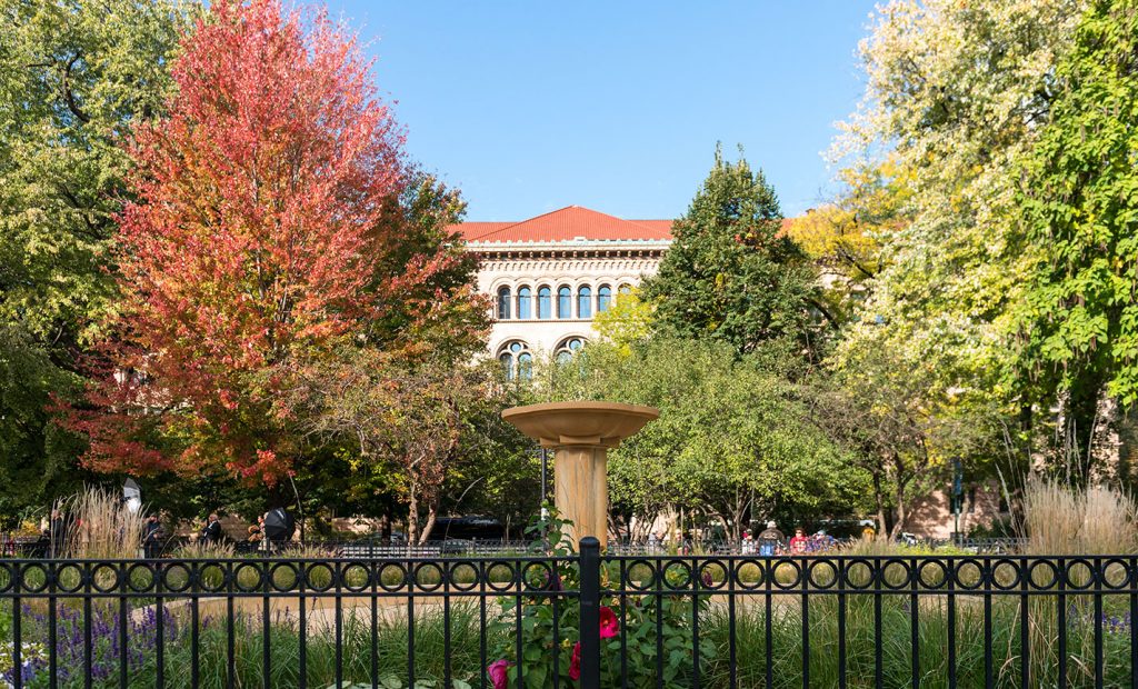 Garden with fountain